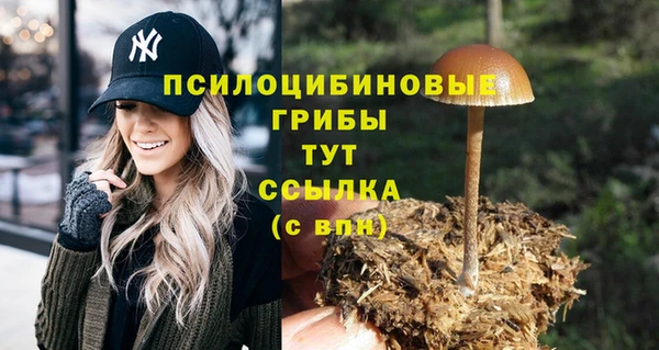 MDMA Premium VHQ Армянск