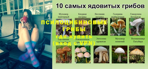 MDMA Premium VHQ Армянск