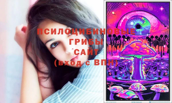 круглые Аркадак