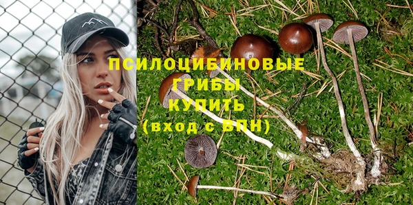 соль курить ск Арсеньев