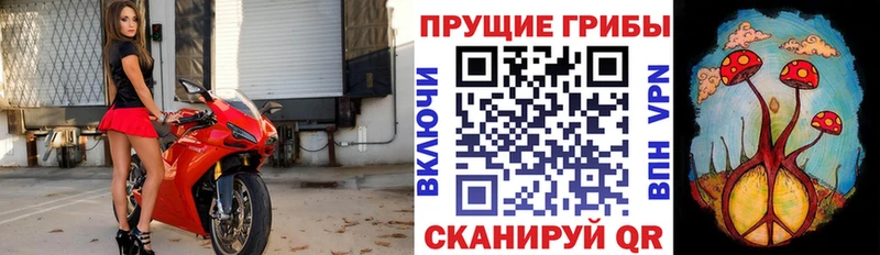 Галлюциногенные грибы ЛСД Славгород